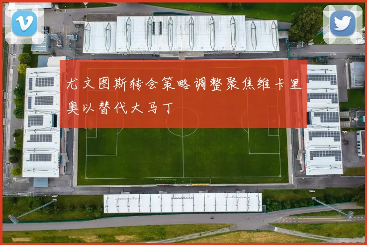尤文图斯转会策略调整聚焦维卡里奥以替代大马丁